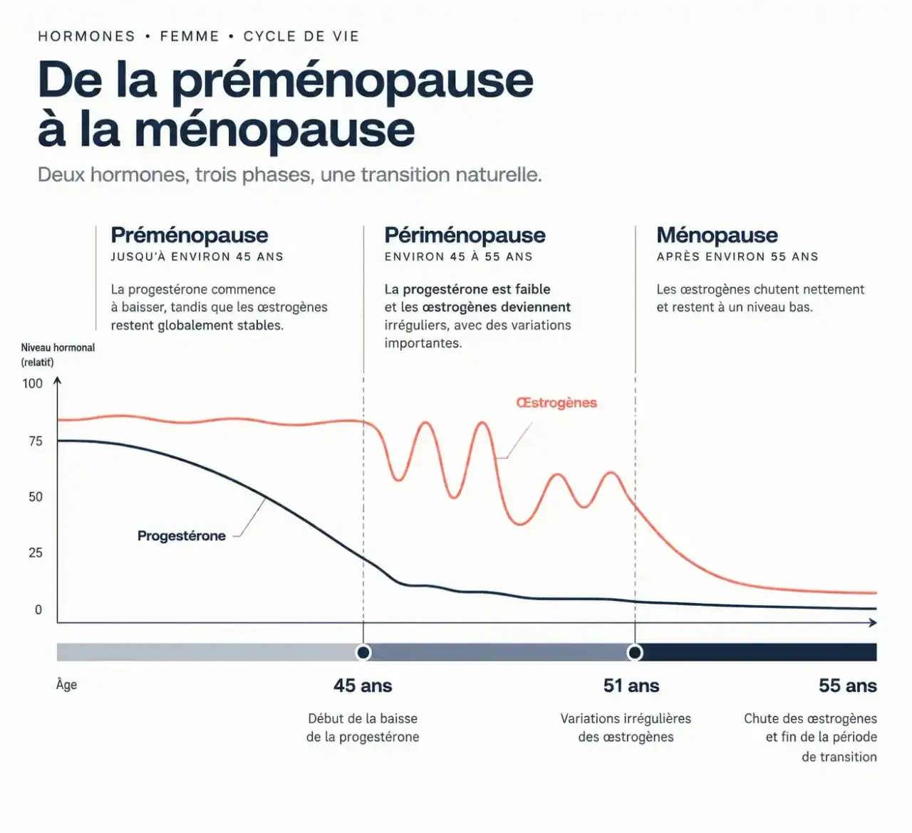 Schéma de l'évolution des hormones pendant la préménopause et la ménopause, pour comprendre naturopathie et ménopause