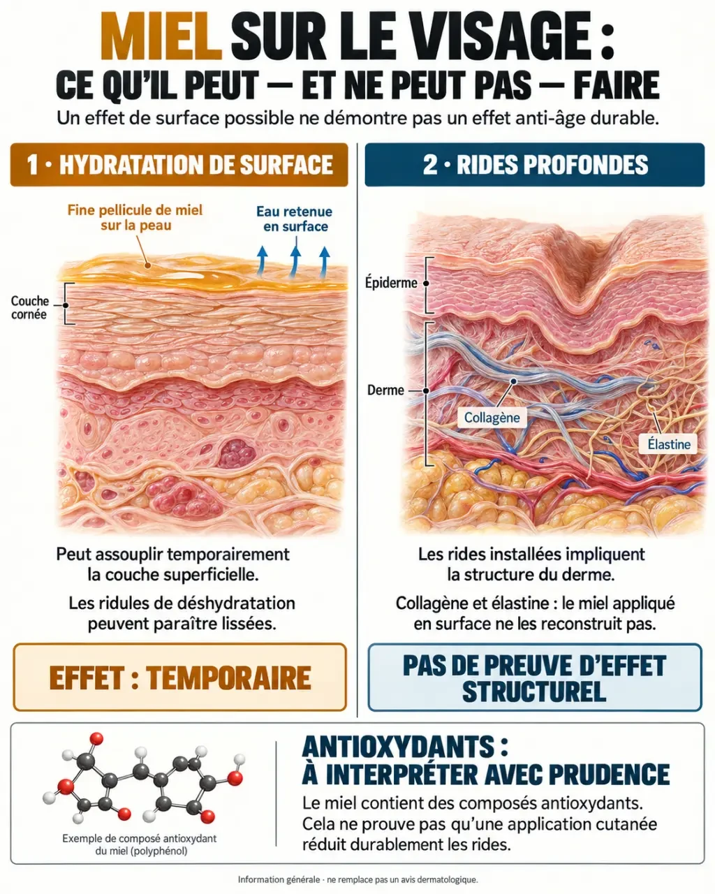 Infographie sur le miel visage rides et la différence entre ridules de déshydratation et rides profondes